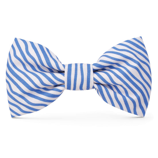 The Foggy Dog Bow Tie