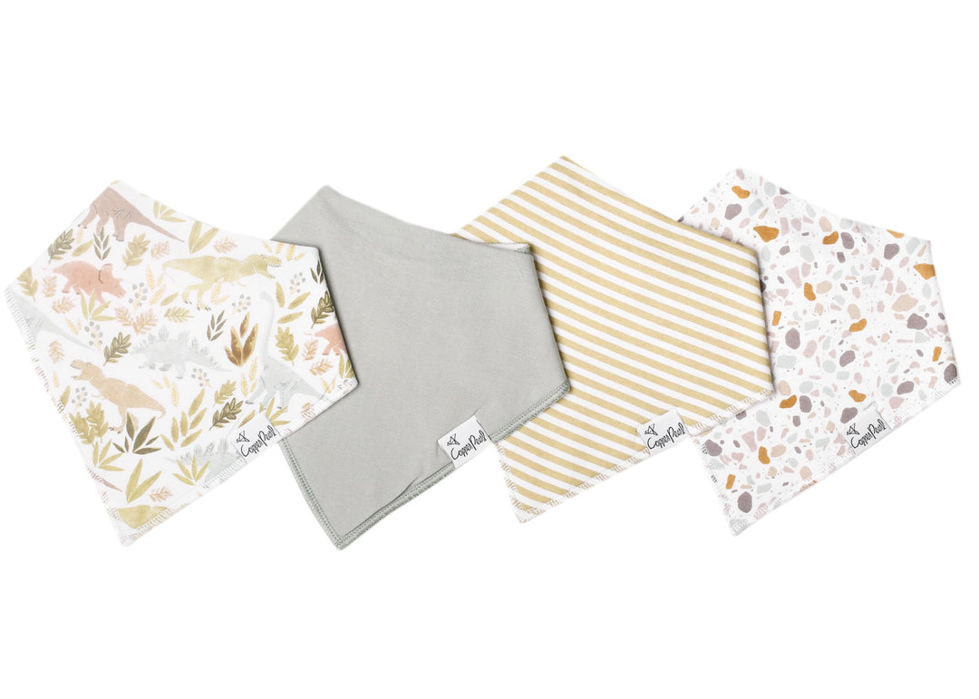 Rex Baby Bandana Bibs