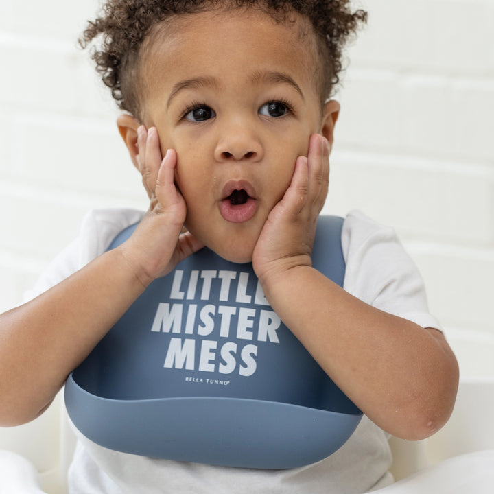 Little Mister Mess Wonder Bib