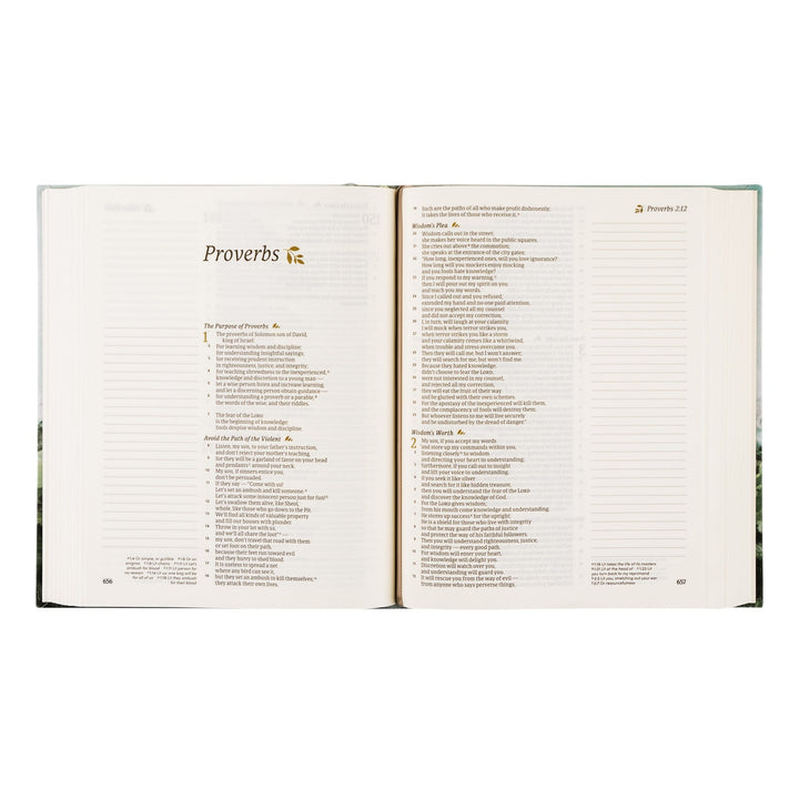 Dublin CSB Notetaking Bible