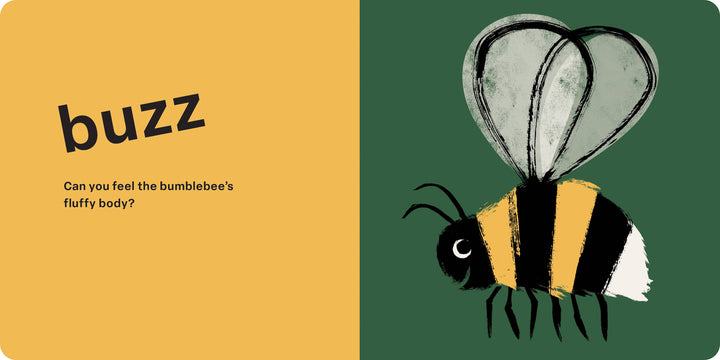 Spring Street Touch and Feel: Bugs by Boxer Books