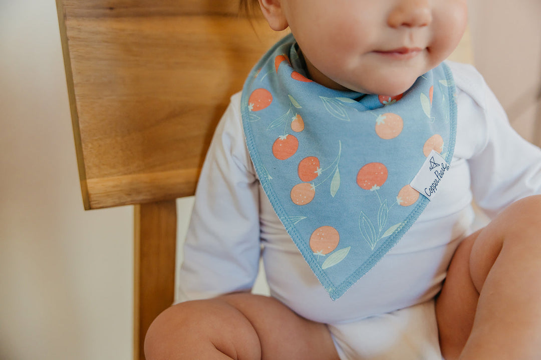 Clementine Bandana Bib Set