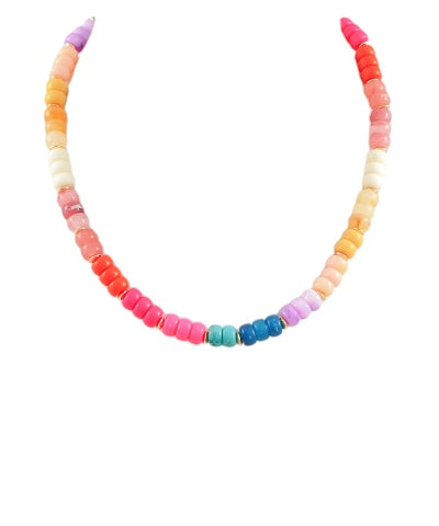 Multi Color Beaded Necklace