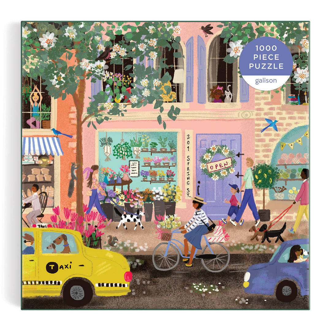 Spring Street Puzzle