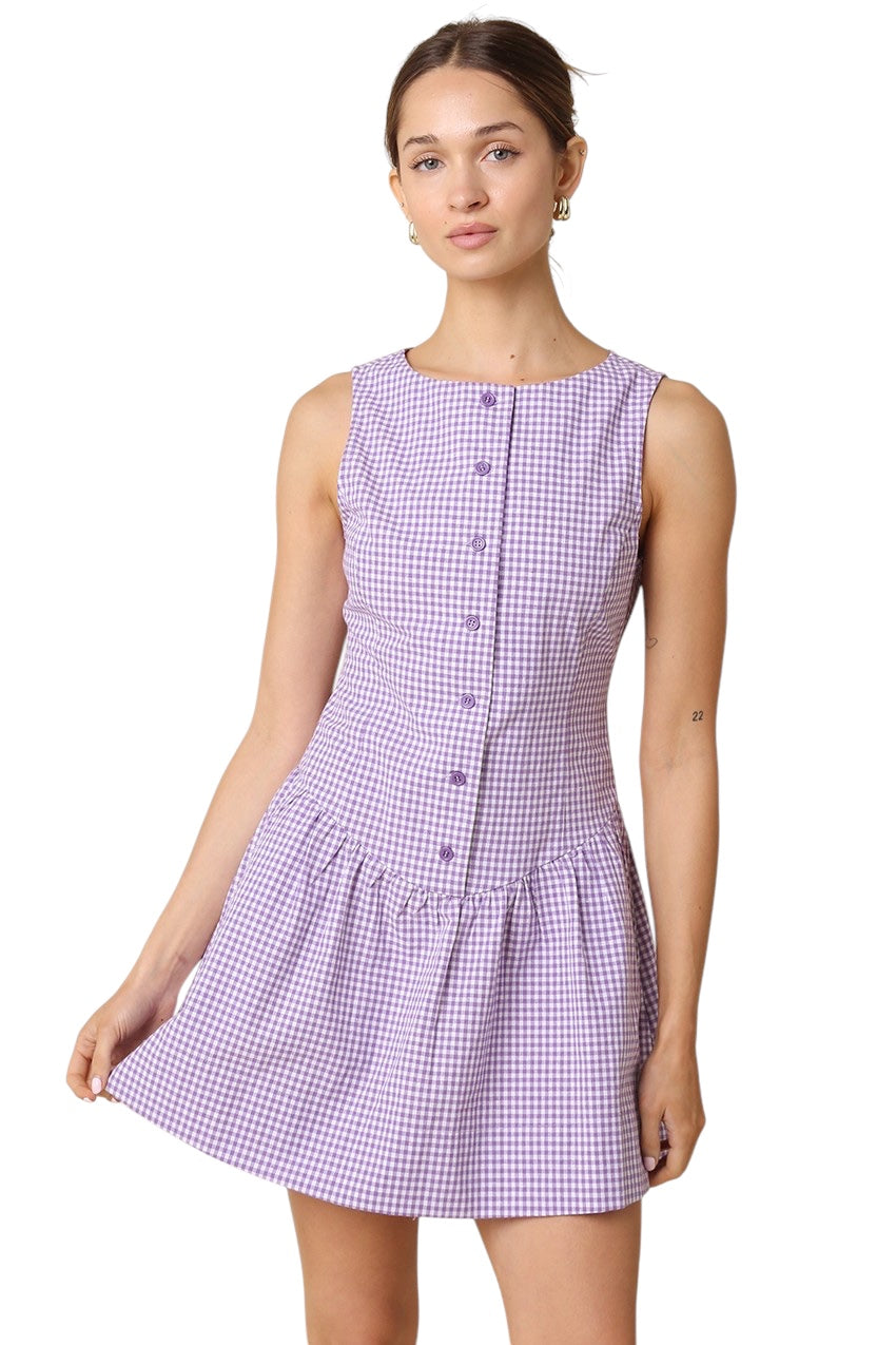 Wagner Gingham Mini Dress
