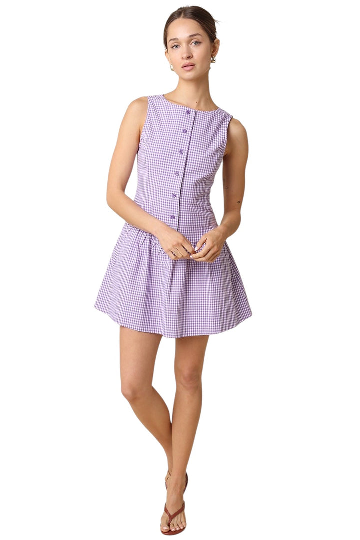 Wagner Gingham Mini Dress