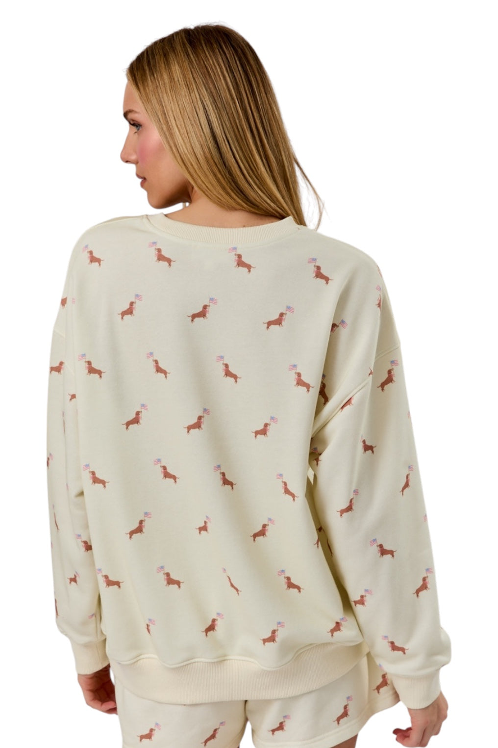 Kennedy Dachshund Flag Pullover