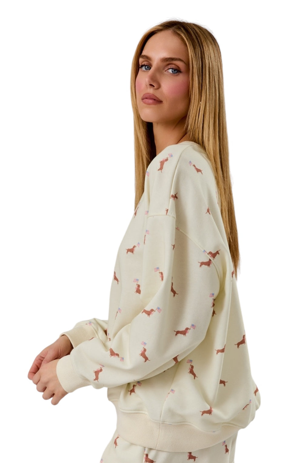 Kennedy Dachshund Flag Pullover
