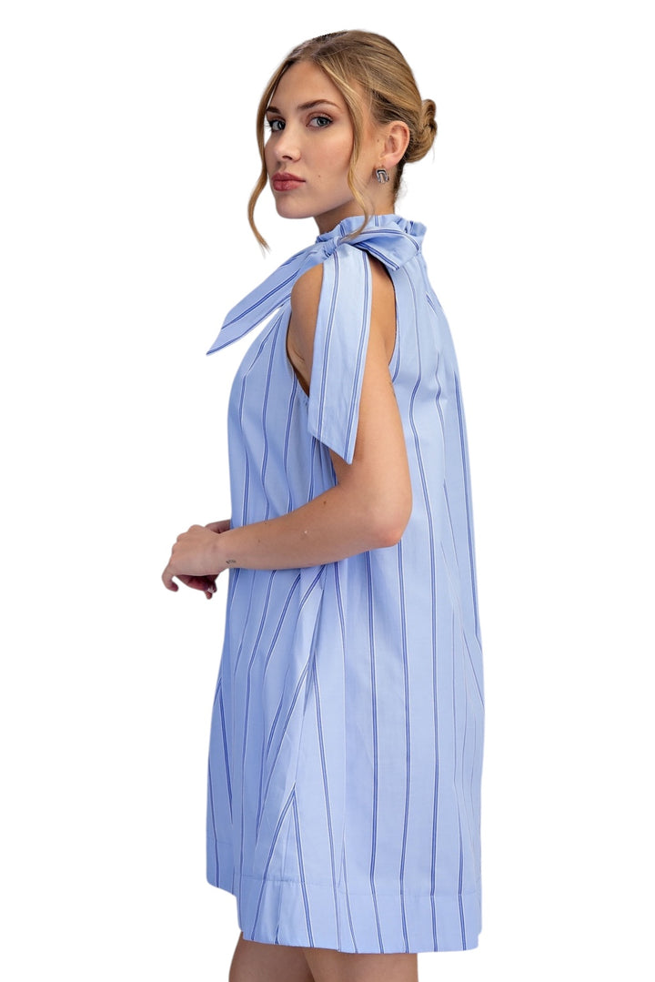Vaughn Sleeveless Mini Dress