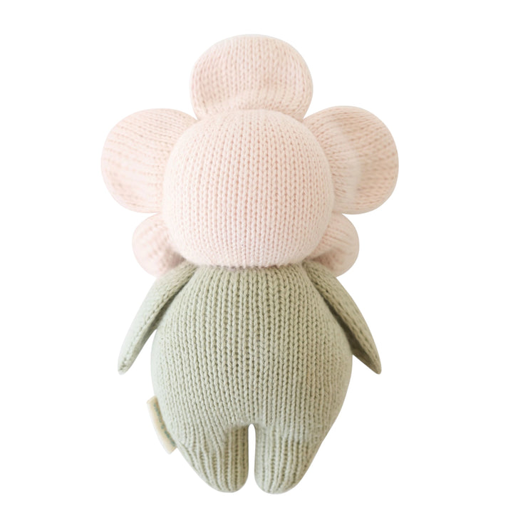 Baby Blush Daisy