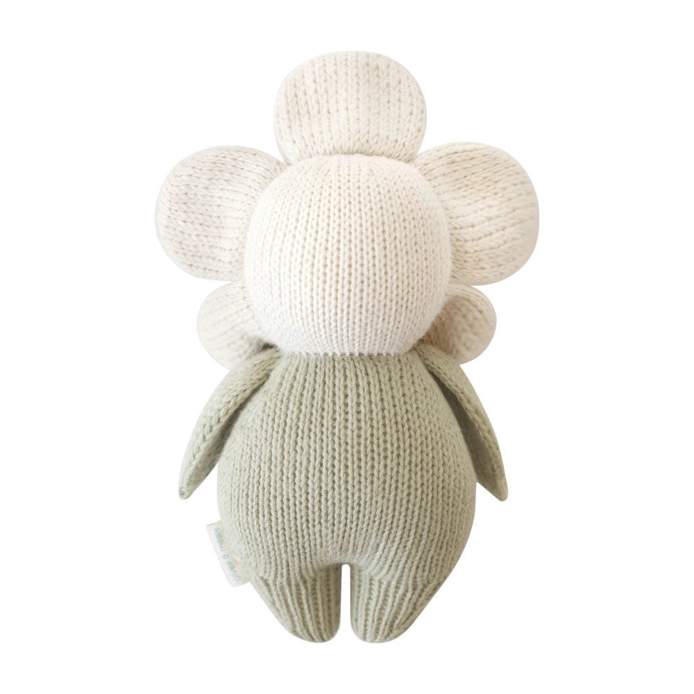 Baby Ivory Daisy