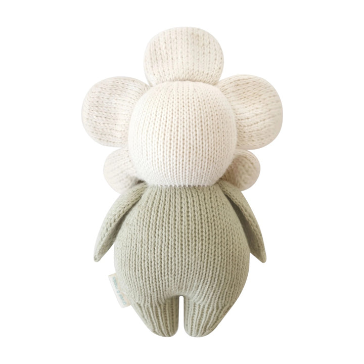 Baby Ivory Daisy