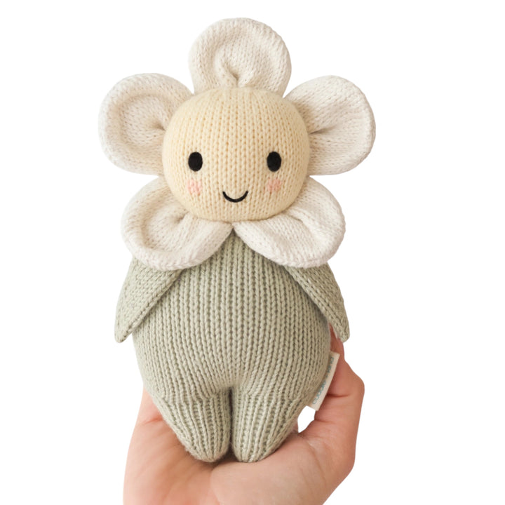 Baby Ivory Daisy