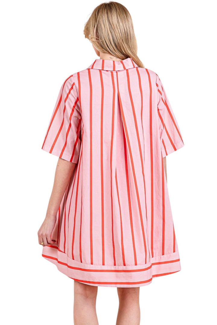 Darcy Stripe Mini Shirt Dress