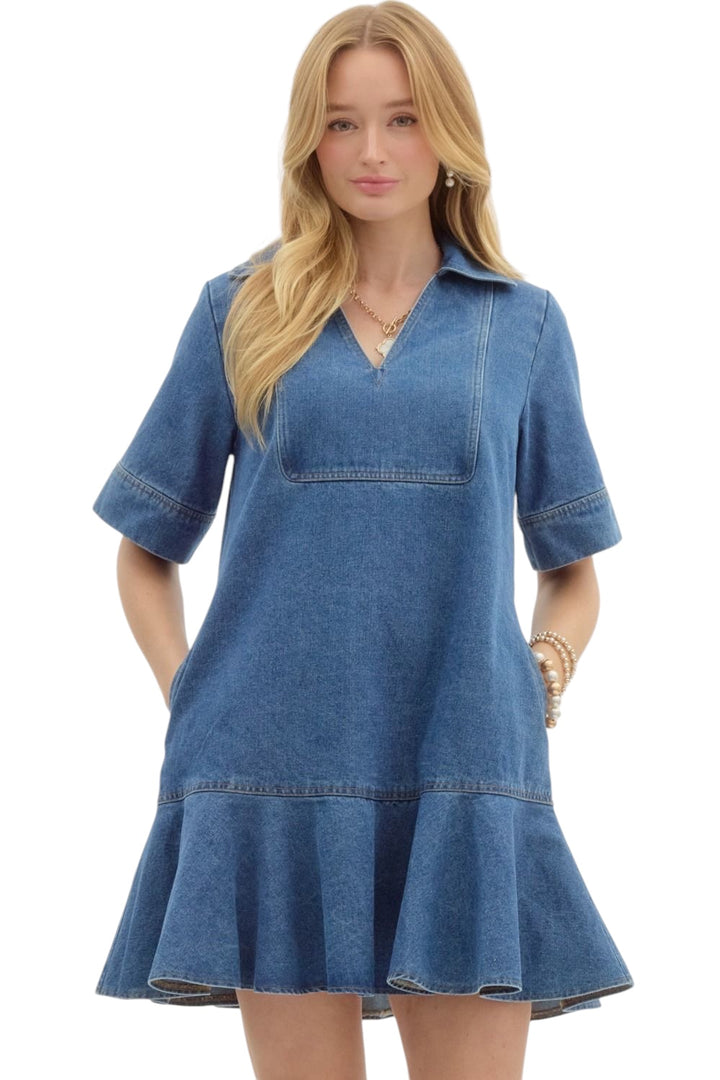 Atkins Denim Mini Dress