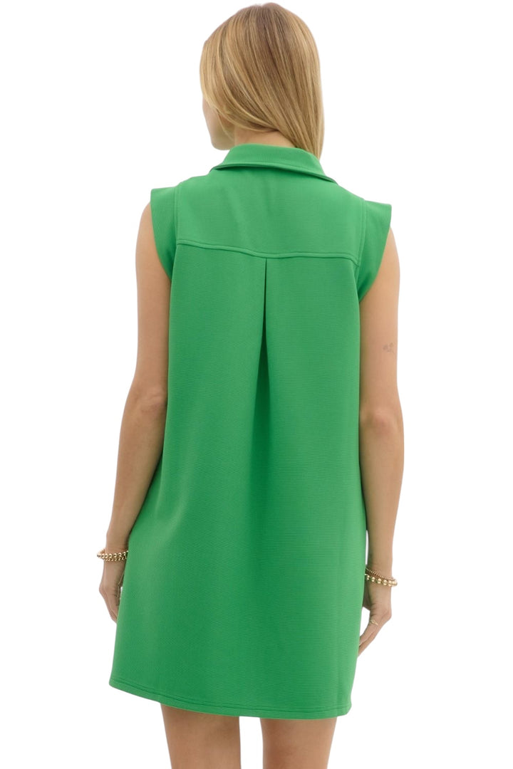 Adair Collared Mini Dress