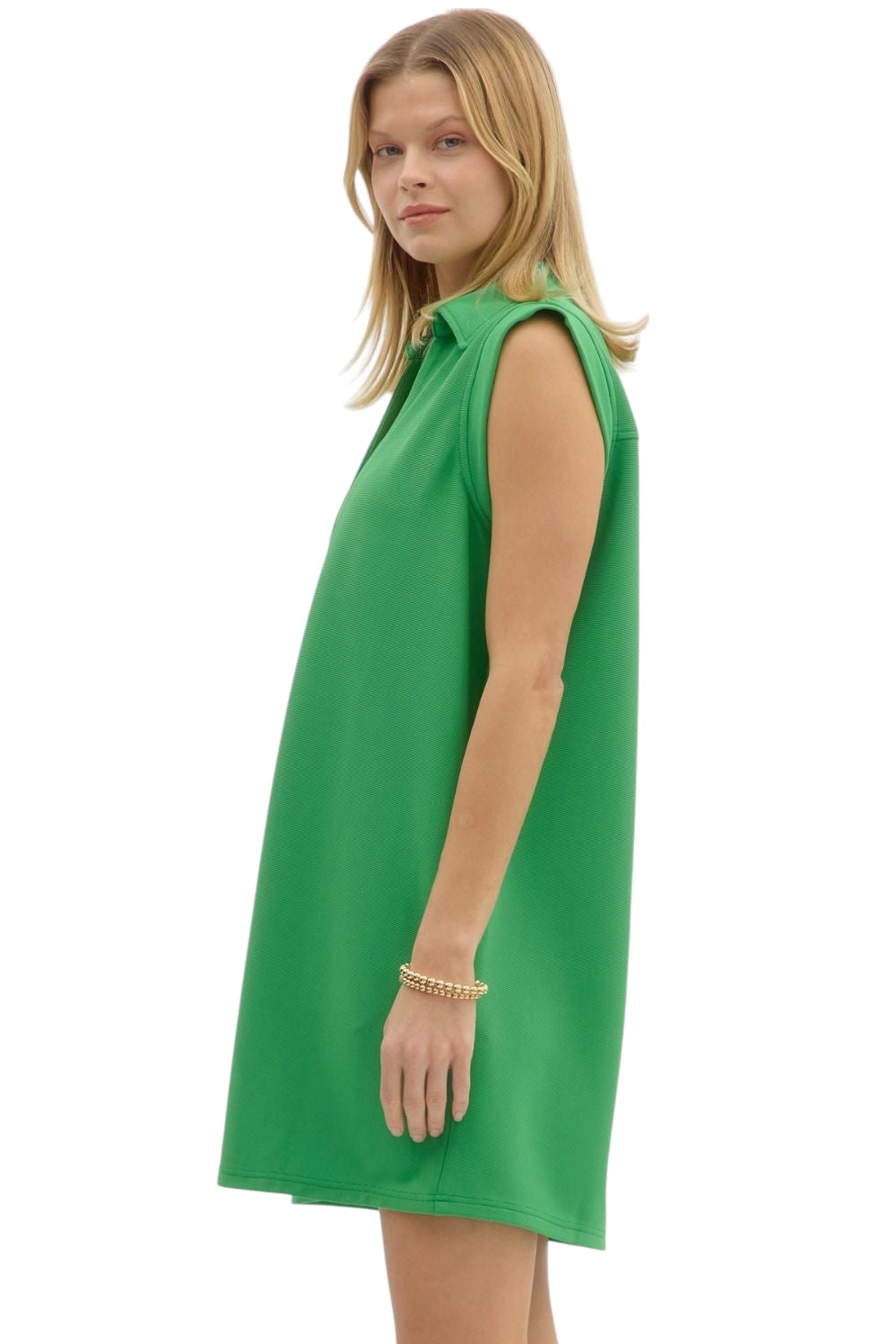Adair Collared Mini Dress