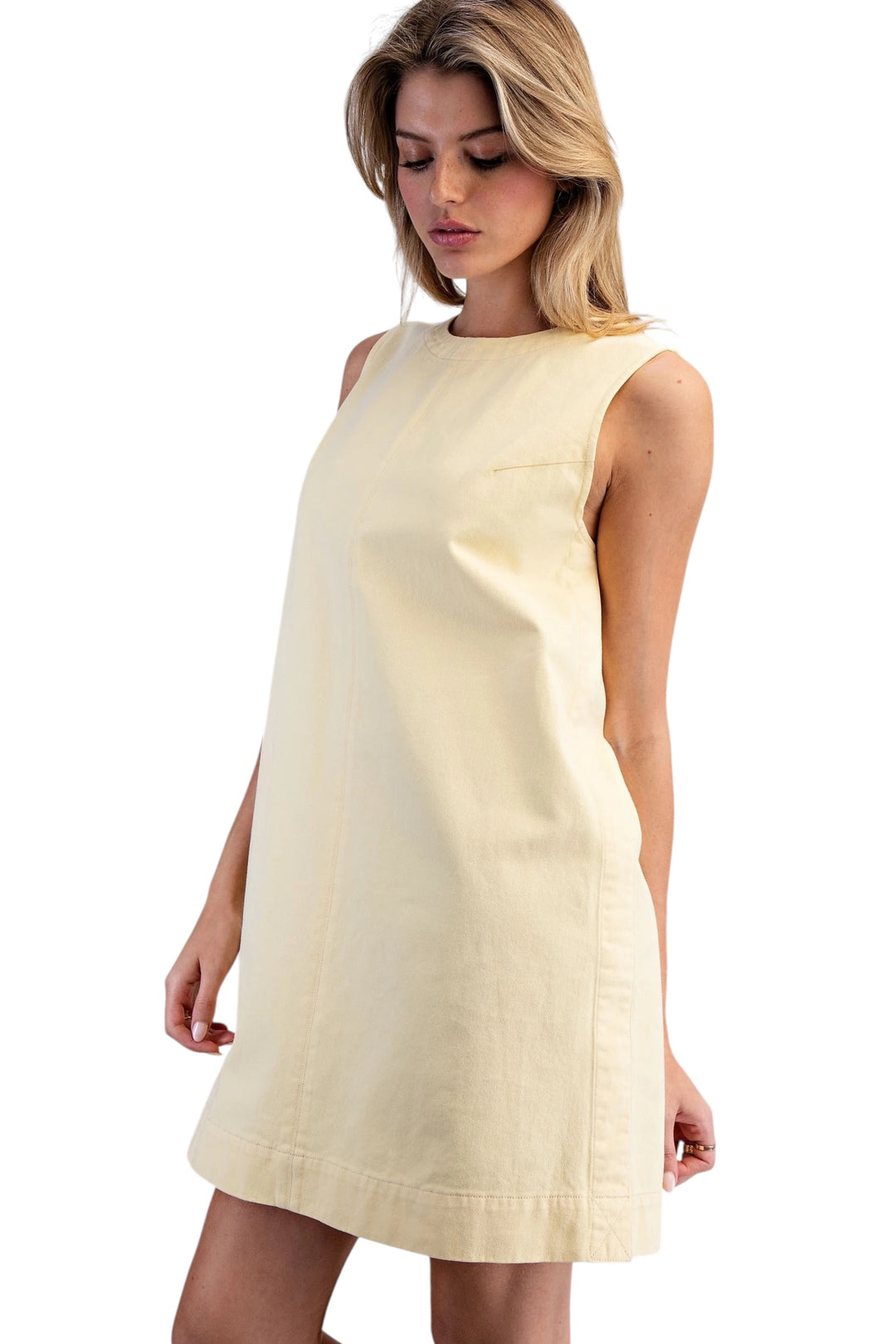 Ernie Sleeveless Mini Dress