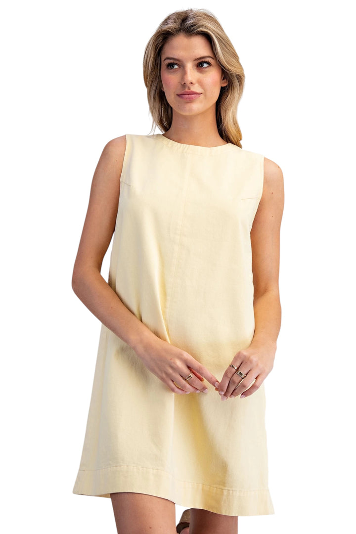 Ernie Sleeveless Mini Dress