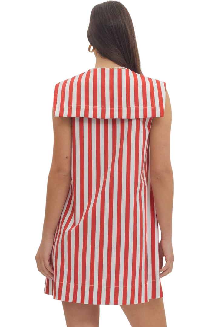 Adams Striped Mini Dress