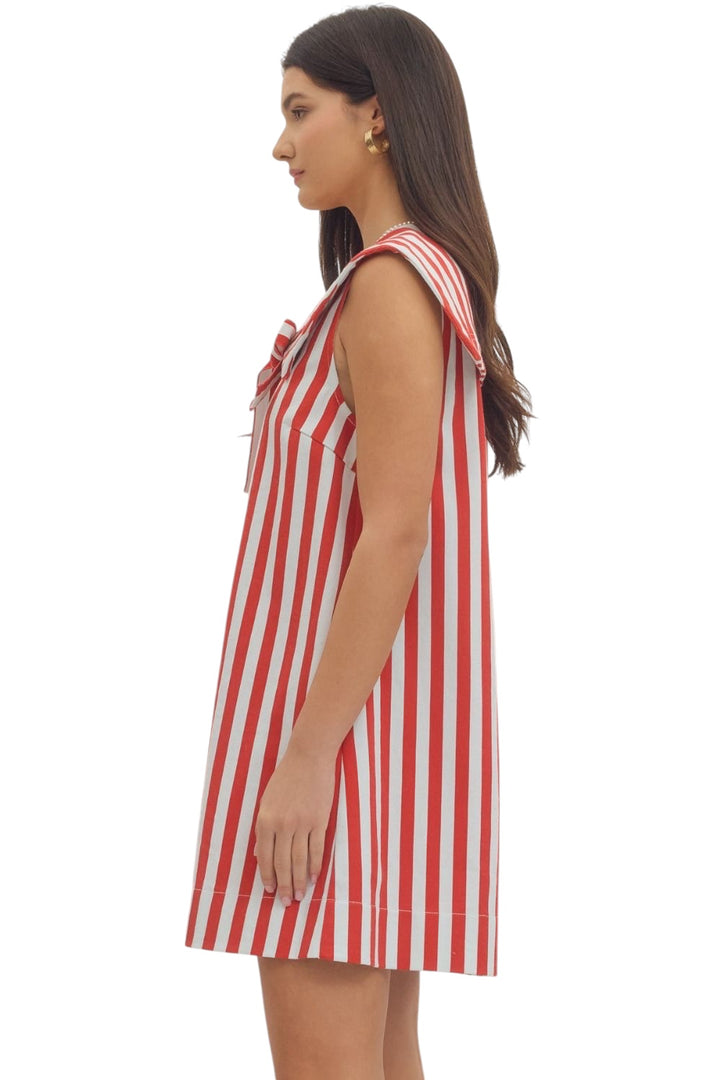 Adams Striped Mini Dress