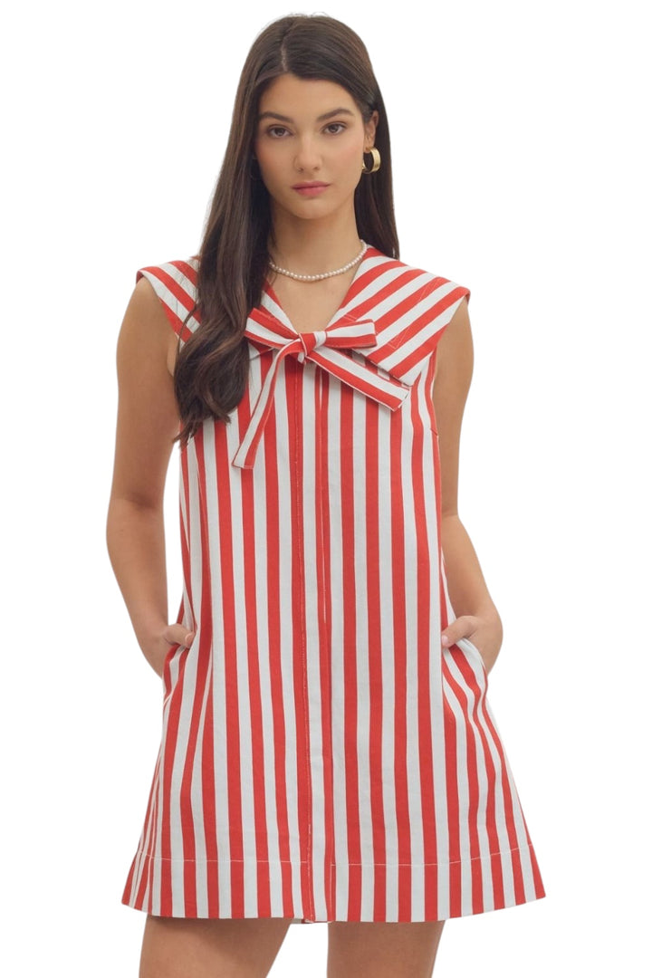 Adams Striped Mini Dress