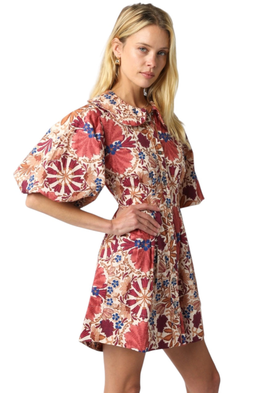 Nina Floral Balloon Dress