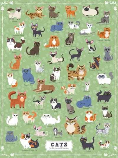 Illustrated Cats Puzzle