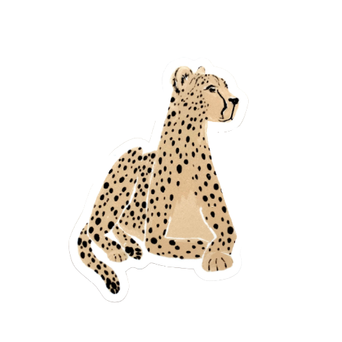 Laying Cheetah Sticker